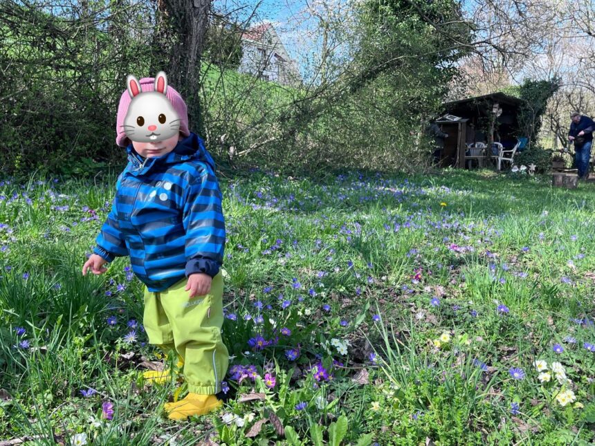 Foto Kind im Kibu Gärtli